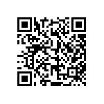 813-SS-012-30-005101 QRCode