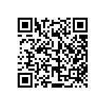 813-SS-012-30-025101 QRCode