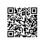 833-87-038-20-001101 QRCode