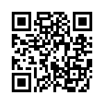 85-190218-01P QRCode