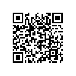 853-87-038-20-002101 QRCode