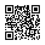 9-1625868-4 QRCode