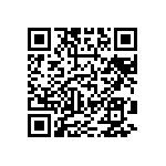 91-533724-19P_68 QRCode