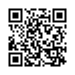 911345 QRCode