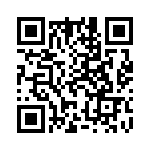 91900-21311 QRCode