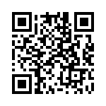 924217-28-13-I QRCode