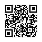 924217-28-17-I QRCode