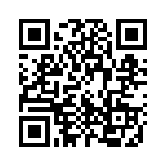 9250-333 QRCode