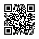 95103-413HLF QRCode