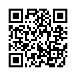 95278-101T06 QRCode