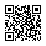 95290-405BLF QRCode