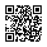 95665-428HLF QRCode