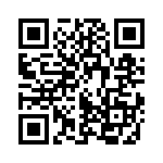 95CW06D2JRT QRCode