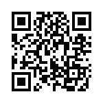 95J1R2E QRCode