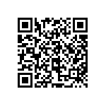 97-3106B22-13S-417 QRCode