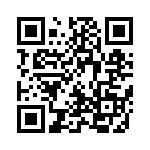 980771T96WWN QRCode