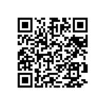 9T06031A1333CAHFT QRCode