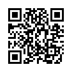 A20130207 QRCode