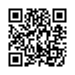 A40130504 QRCode