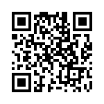 A495306L1L2 QRCode