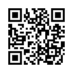 ACM24DSEI-S13 QRCode