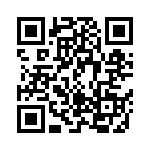 AT27C2048-12VC QRCode