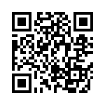 AT29BV020-20JI QRCode