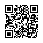 B25838L4106K4 QRCode