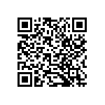 B32520E6333K000 QRCode