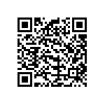 B32521C1334K000 QRCode