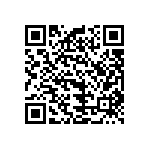 B32521C6223K289 QRCode