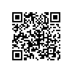 B32522C3105M289 QRCode