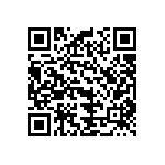 B32529C1222K289 QRCode