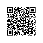 B32529C1332M289 QRCode