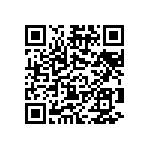 B32529C3153K000 QRCode