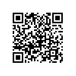 B32560J3104K189 QRCode