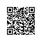 B32560J6133J000 QRCode