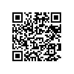 B32560J6153K189 QRCode