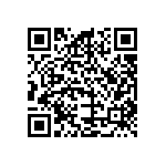 B32560J6153K289 QRCode