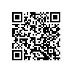 B33364A5106J050 QRCode