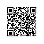 B41252B9338M000 QRCode