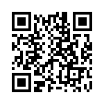 B43501A337M87 QRCode