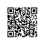 B64290L0618X065 QRCode