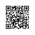 B65651T0160A048 QRCode