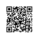 B65661N0160A048 QRCode