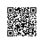 B65805P0160A045 QRCode