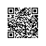 B65807N0063A033 QRCode