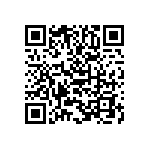 B65811J0250A087 QRCode