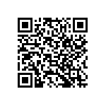 B65813H3200X041 QRCode