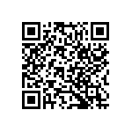 B65843A0200B038 QRCode